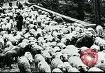 Image of Nomadic life in Arabia Middle East, 1936, second 16 stock footage video 65675072699