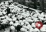 Image of Nomadic life in Arabia Middle East, 1936, second 18 stock footage video 65675072699
