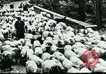 Image of Nomadic life in Arabia Middle East, 1936, second 19 stock footage video 65675072699