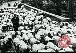 Image of Nomadic life in Arabia Middle East, 1936, second 20 stock footage video 65675072699