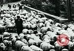 Image of Nomadic life in Arabia Middle East, 1936, second 21 stock footage video 65675072699