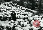 Image of Nomadic life in Arabia Middle East, 1936, second 22 stock footage video 65675072699