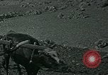 Image of Ancient methods of agriculture in the Middle East Middle East, 1936, second 12 stock footage video 65675072700