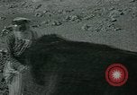 Image of Ancient methods of agriculture in the Middle East Middle East, 1936, second 15 stock footage video 65675072700