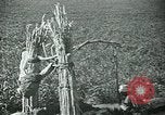 Image of Ancient methods of agriculture in the Middle East Middle East, 1936, second 17 stock footage video 65675072700