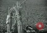 Image of Ancient methods of agriculture in the Middle East Middle East, 1936, second 18 stock footage video 65675072700
