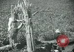 Image of Ancient methods of agriculture in the Middle East Middle East, 1936, second 20 stock footage video 65675072700