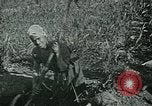 Image of Ancient methods of agriculture in the Middle East Middle East, 1936, second 24 stock footage video 65675072700