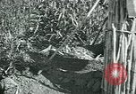 Image of Ancient methods of agriculture in the Middle East Middle East, 1936, second 28 stock footage video 65675072700
