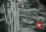 Image of Ancient methods of agriculture in the Middle East Middle East, 1936, second 30 stock footage video 65675072700