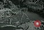 Image of Ancient methods of agriculture in the Middle East Middle East, 1936, second 31 stock footage video 65675072700