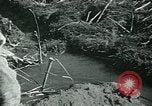 Image of Ancient methods of agriculture in the Middle East Middle East, 1936, second 33 stock footage video 65675072700