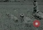 Image of Ancient methods of agriculture in the Middle East Middle East, 1936, second 40 stock footage video 65675072700