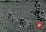 Image of Ancient methods of agriculture in the Middle East Middle East, 1936, second 41 stock footage video 65675072700