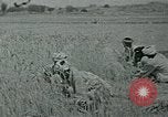Image of Ancient methods of agriculture in the Middle East Middle East, 1936, second 44 stock footage video 65675072700