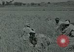 Image of Ancient methods of agriculture in the Middle East Middle East, 1936, second 45 stock footage video 65675072700