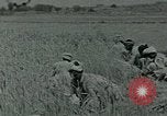 Image of Ancient methods of agriculture in the Middle East Middle East, 1936, second 46 stock footage video 65675072700