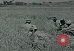 Image of Ancient methods of agriculture in the Middle East Middle East, 1936, second 47 stock footage video 65675072700