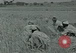 Image of Ancient methods of agriculture in the Middle East Middle East, 1936, second 48 stock footage video 65675072700