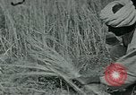 Image of Ancient methods of agriculture in the Middle East Middle East, 1936, second 49 stock footage video 65675072700