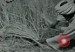 Image of Ancient methods of agriculture in the Middle East Middle East, 1936, second 50 stock footage video 65675072700