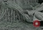 Image of Ancient methods of agriculture in the Middle East Middle East, 1936, second 51 stock footage video 65675072700