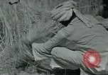Image of Ancient methods of agriculture in the Middle East Middle East, 1936, second 53 stock footage video 65675072700