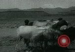 Image of Ancient methods of agriculture in the Middle East Middle East, 1936, second 57 stock footage video 65675072700