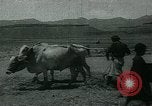 Image of Ancient methods of agriculture in the Middle East Middle East, 1936, second 59 stock footage video 65675072700