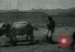 Image of Ancient methods of agriculture in the Middle East Middle East, 1936, second 60 stock footage video 65675072700