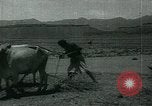 Image of Ancient methods of agriculture in the Middle East Middle East, 1936, second 61 stock footage video 65675072700