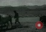 Image of Ancient methods of agriculture in the Middle East Middle East, 1936, second 62 stock footage video 65675072700