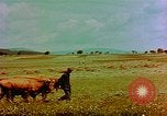 Image of German civilians Germany, 1945, second 9 stock footage video 65675072705