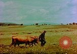 Image of German civilians Germany, 1945, second 10 stock footage video 65675072705