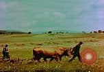 Image of German civilians Germany, 1945, second 11 stock footage video 65675072705