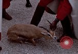 Image de gardes du palais Tunis Tunisie, 1959, de la seconde 31 séquences d'archives historiques vidéo 65675072709