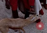Image de gardes du palais Tunis Tunisie, 1959, de la seconde 34 séquences d'archives historiques vidéo 65675072709