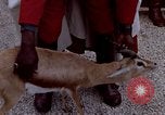 Image de gardes du palais Tunis Tunisie, 1959, de la seconde 35 séquences d'archives historiques vidéo 65675072709