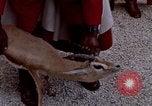 Image de gardes du palais Tunis Tunisie, 1959, de la seconde 36 séquences d'archives historiques vidéo 65675072709