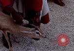 Image de gardes du palais Tunis Tunisie, 1959, de la seconde 37 séquences d'archives historiques vidéo 65675072709