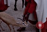 Image de gardes du palais Tunis Tunisie, 1959, de la seconde 41 séquences d'archives historiques vidéo 65675072709