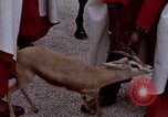 Image de gardes du palais Tunis Tunisie, 1959, de la seconde 43 séquences d'archives historiques vidéo 65675072709