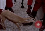 Image de gardes du palais Tunis Tunisie, 1959, de la seconde 45 séquences d'archives historiques vidéo 65675072709