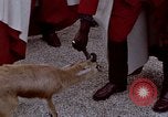 Image de gardes du palais Tunis Tunisie, 1959, de la seconde 46 séquences d'archives historiques vidéo 65675072709