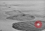 Image of fire wall off English coast to prevent German invasion United Kingdom, 1945, second 10 stock footage video 65675072721