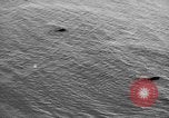 Image of fire wall off English coast to prevent German invasion United Kingdom, 1945, second 12 stock footage video 65675072721