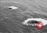 Image of fire wall off English coast to prevent German invasion United Kingdom, 1945, second 15 stock footage video 65675072721