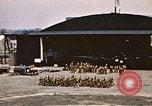 Image of V-E Day celebration European Theater, 1945, second 11 stock footage video 65675072738