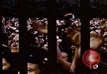 Image of V-E Day celebration London England United Kingdom, 1945, second 14 stock footage video 65675072743
