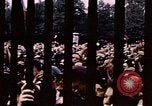Image of V-E Day celebration London England United Kingdom, 1945, second 21 stock footage video 65675072743